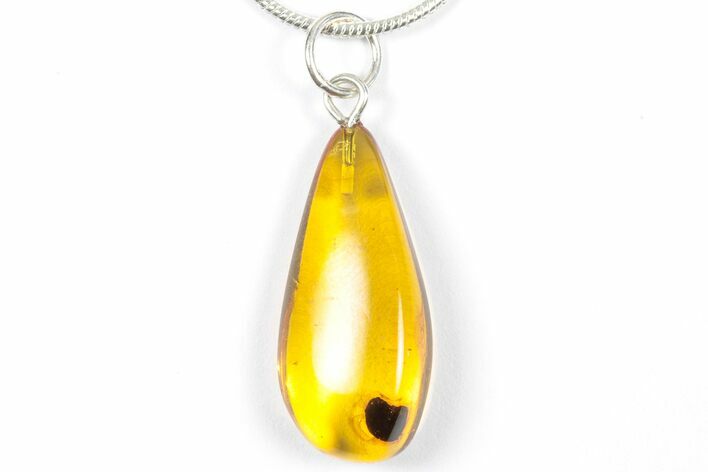Polished Baltic Amber Pendant (Necklace) - Contains Beetle! #357925